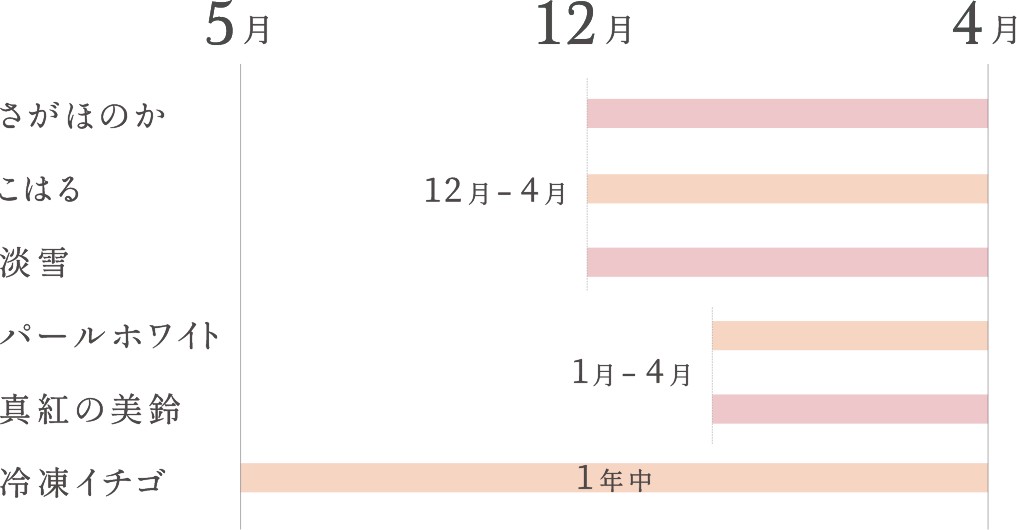 販売期間